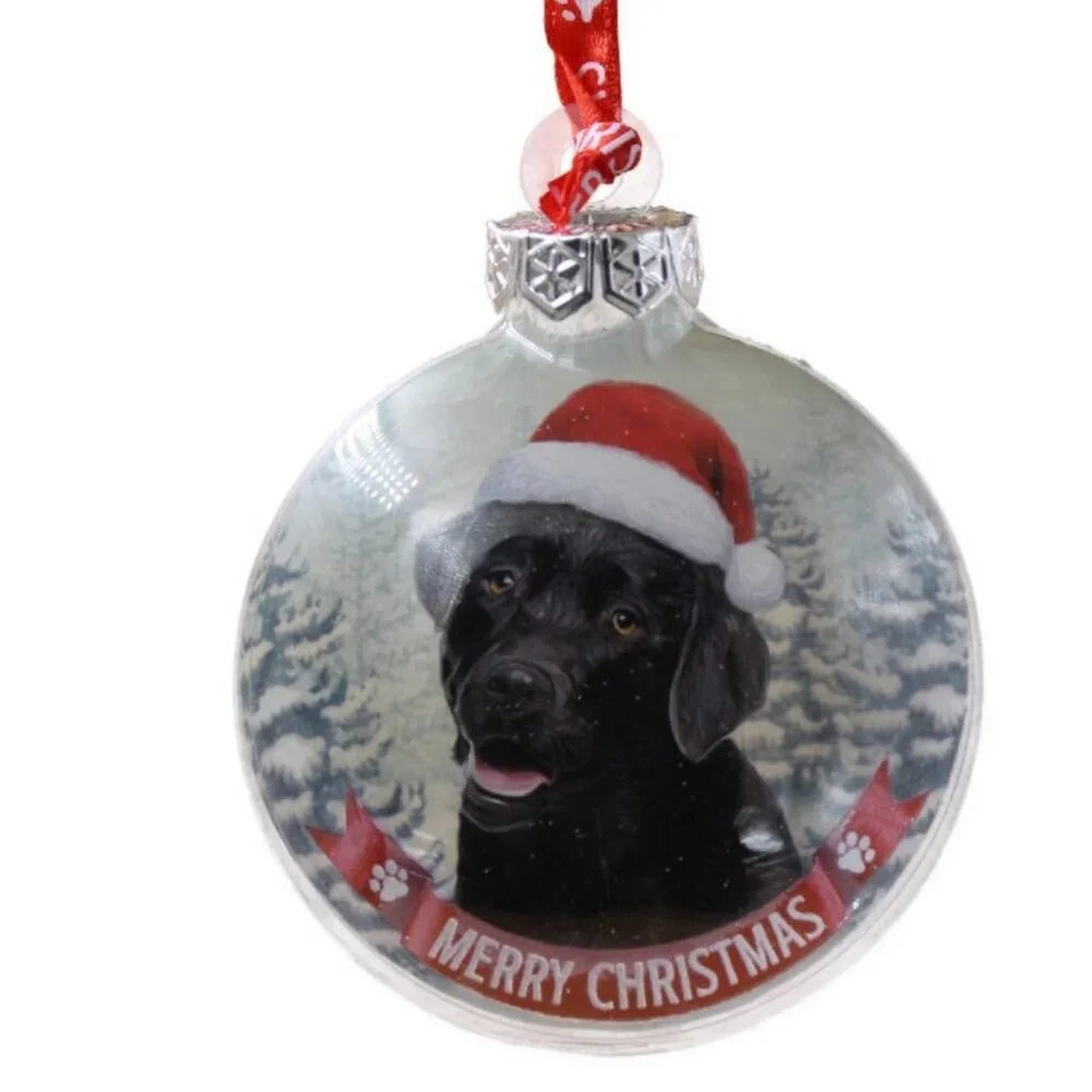Santa Paws Glass Baubles Christmas Ornament for dog lover Packaged in a gift box